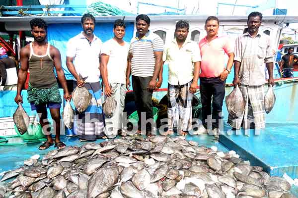 ಮಂಗಳೂರು ಮೀನುಗಾರರಿಗೆ ಮಾಂಜಿ ಜಾಕ್ ಪಾಟ್