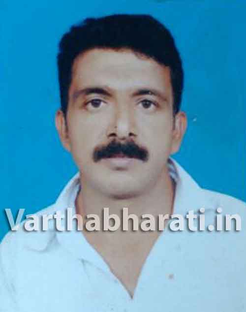 ಮರಕ್ಕೆ ಢಿಕ್ಕಿ ಹೊಡೆದ ಬೈಕ್: ಸವಾರ ಮೃತ್ಯು