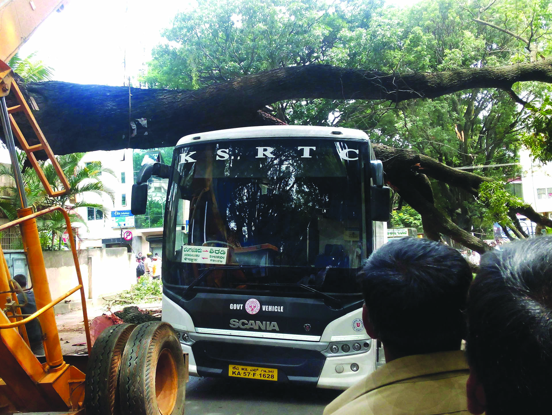 ಬಸ್ ಮೇಲೆ ಬಿದ್ದ ಬೃಹತ್ ಮರ; ಪಾರಾದ ಪ್ರಯಾಣಿಕರು