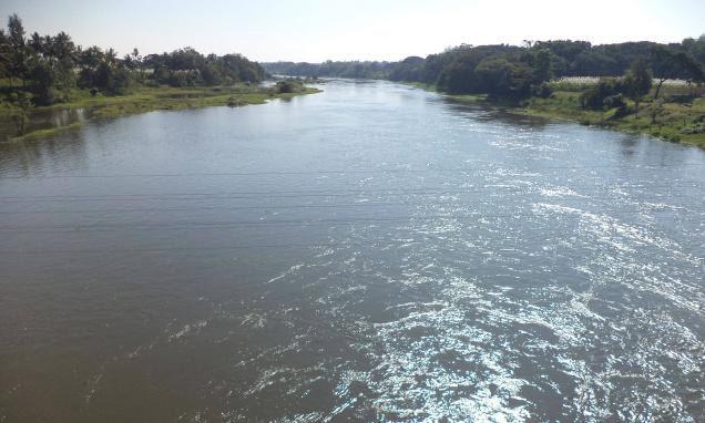ಶ್ರೀರಂಗಪಟ್ಟಣದಲ್ಲಿ ಕಾವೇರಿ ನದಿಗೆ ಹಾರಿದ ರೈತ