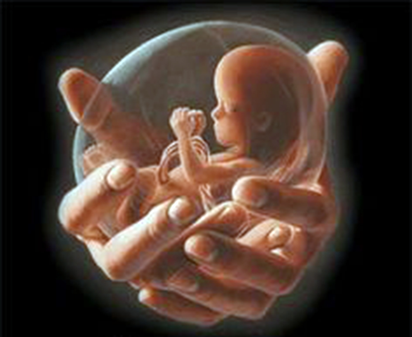 ಹೆಚ್ಚಿದ ಪುರುಷ ಭ್ರೂಣ ಹತ್ಯೆ ದಂಧೆ!