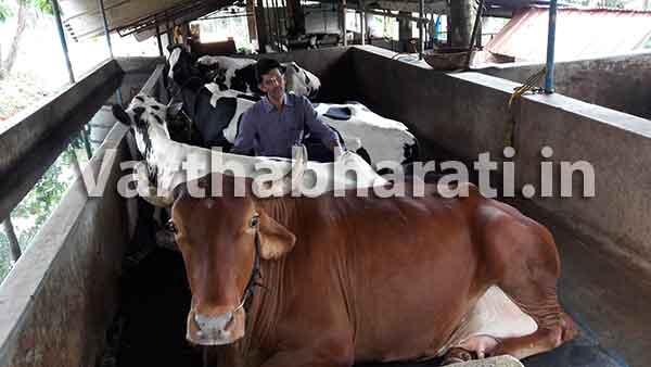 ಮುಸ್ತಫಾರ ಪಶುಪ್ರೇಮ