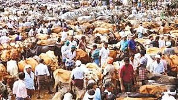 2000ಕ್ಕೂ ಹೆಚ್ಚು ಜಾನುವಾರುಗಳ ಮಾರಾಟ: ಏಳು ಕೋಟಿ ವಹಿವಾಟು