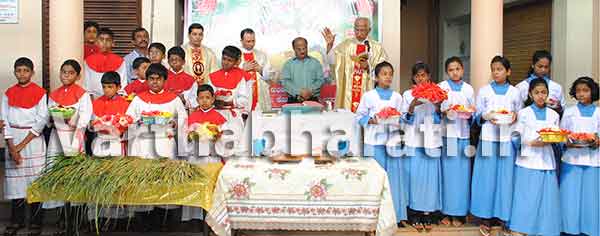 ಮುಲ್ಕಿ ಹೋಬಳಿಯ ವಿವಿಧೆಡೆ ಸಂಭ್ರಮದ ತೆನೆಹಬ್ಬ