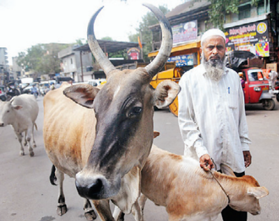 ಪೋಲೀಸರ ಕಿರುಕುಳದಿಂದ ಸಾಕು ದನಗಳನ್ನು ದಾನ ನೀಡಲು ಮುಂದಾದ ಗೋರಕ್ಷಕ ಸತ್ತಾರ್ ಶೇಖ್