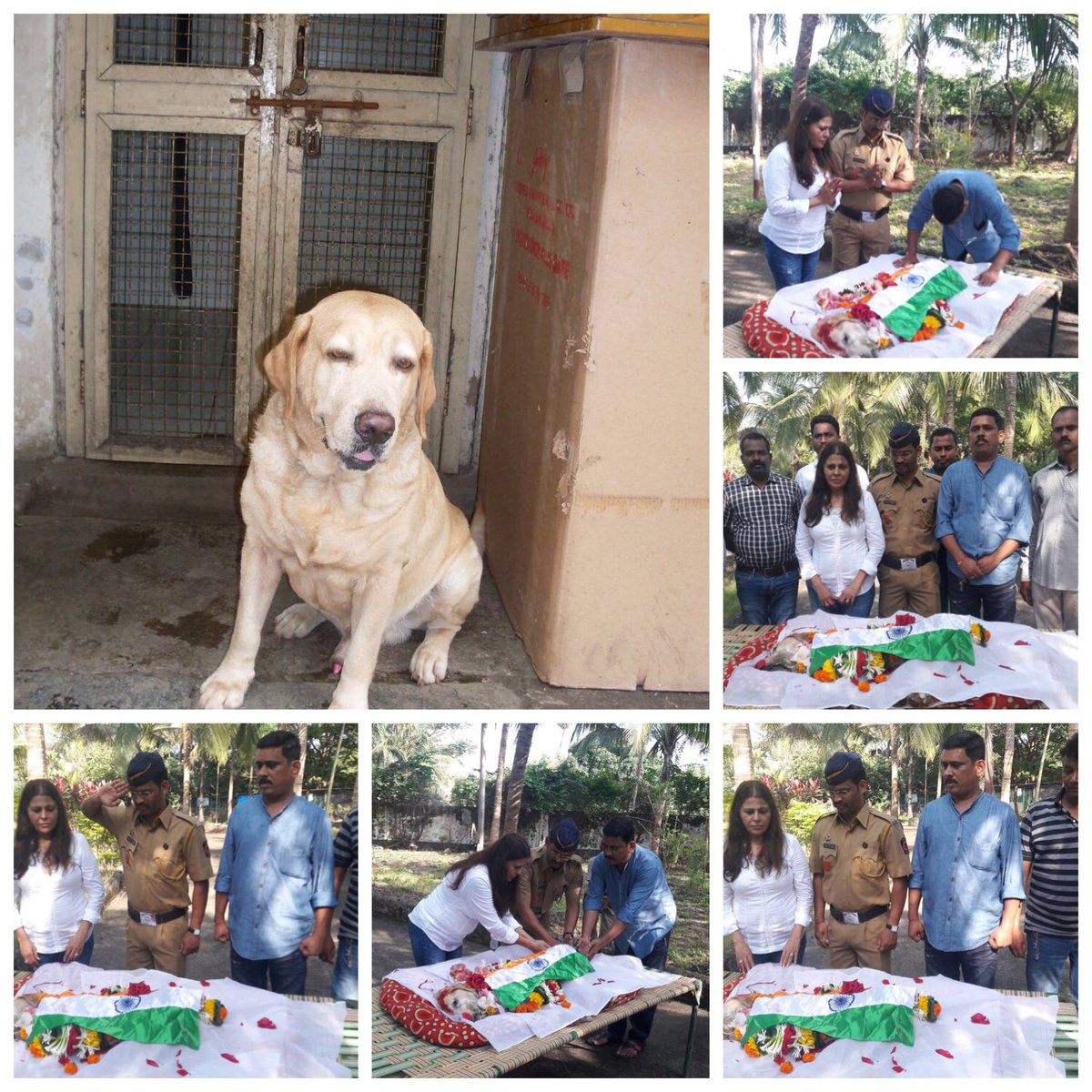 ಮುಂಬೈ ದಾಳಿ ಪ್ರಕರಣದ ವೇಳೆ ಬಾಂಬ್ ಪತ್ತೆಗೆ  ಪೊಲೀಸರಿಗೆ ನೆರವಾಗಿದ್ದ ಶ್ವಾನ ಸೀಸರ‍್ ಸಾವು