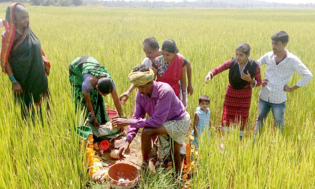 ಮಳೆಗಾಗಿ ಪೂಜೆ ಸಲ್ಲಿಸಿದ ಕೃಷಿ ಕುಟುಂಬಗಳು