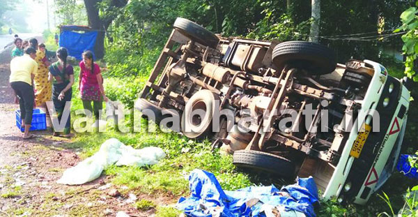 ಕಾಸರಗೋಡು: ಮೀನು ಸಾಗಾಟದ ಪಿಕಪ್ ಪಲ್ಟಿ