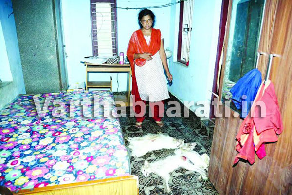 ವಿಷವಿಕ್ಕಿ ಮೂರು ಸಾಕುನಾಯಿಗಳನ್ನು ಹತ್ಯೆಗೈದ ದುಷ್ಕರ್ಮಿಗಳು