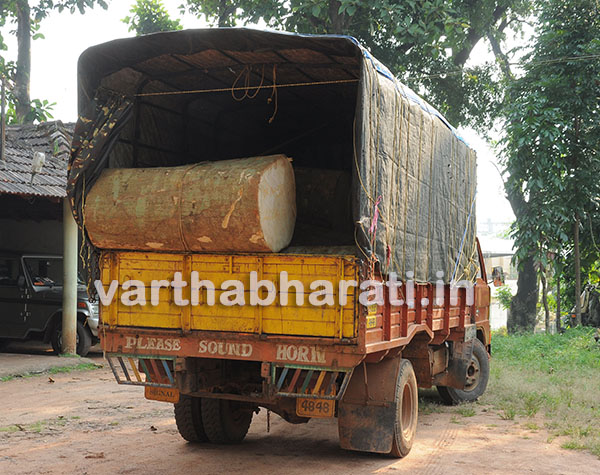 ಅಕ್ರಮ ಮರ ಸಾಗಾಟ ಪತ್ತೆ : ವಾಹನ ಸಹಿತ ಆರೋಪಿ ವಶ