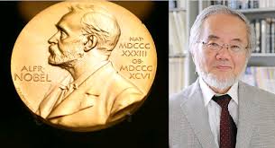 ಜೀವಕೋಶ ವಿಜ್ಞಾನಿ ಯೋಷಿನೋರಿ ಓಸುಮಿಗೆ  ನೊಬೆಲ್ ಪ್ರಶಸ್ತಿ