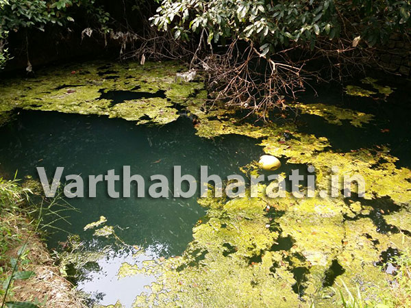 ಕೆರೆಗೆ ಬಿದ್ದು ಮನೆಯ ಯಜಮಾನ, ಕೆಲಸದಾಕೆ ಮೃತ್ಯು
