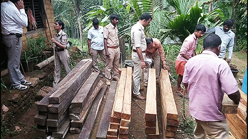 ಲಕ್ಷಾಂತರ ವೌಲ್ಯದ ಅಕ್ರಮ ಮರ ಶೇಖರಣೆ: ಓರ್ವನ ಬಂಧನ