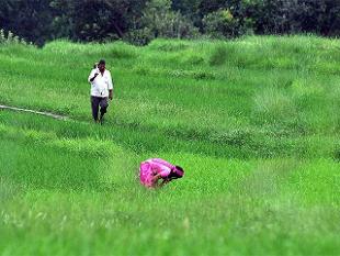 ಮಹಾರಾಷ್ಟ್ರ ಅತ್ಯಂತ ರೈತ ಸ್ನೇಹಿ ರಾಜ್ಯ:ನೀತಿ ಆಯೋಗ