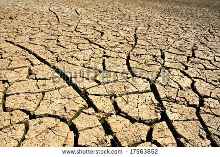 ಬೇಸಿಗೆ ಆರಂಭಕ್ಕೂ ಮುನ್ನವೇ ನೀರಿಲ್ಲದೆ ಬರಿದಾದ ನೂರಾರು ಕೆರೆಗಳು