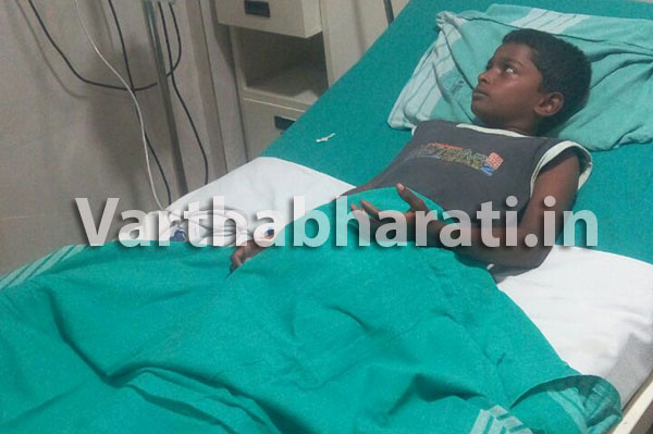 ಹೆಬ್ಬಾವಿನೊಂದಿಗೆ ಸೆಣಸಾಡಿ ಬದುಕಿಬಂದ 11ರ ಬಾಲಕ!