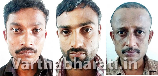 ಕಾರಿನಲ್ಲಿ ಕಾಡುಹಂದಿ ಸಾಗಿಸುತ್ತಿದ್ದವರ ಬಂಧನ