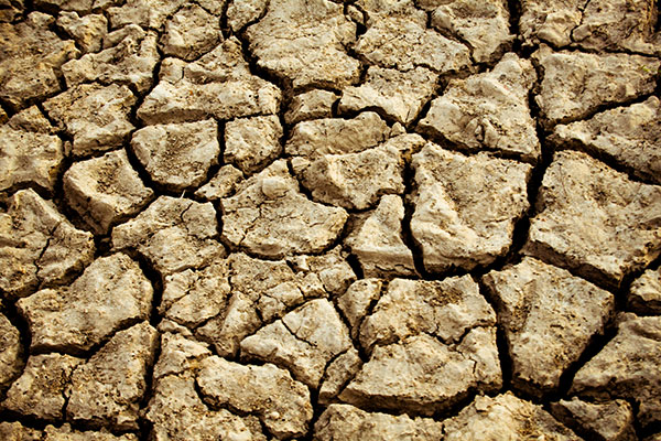 ರಾಜ್ಯದಲ್ಲಿ ಈ ಬಾರಿ ಬರಪೀಡಿತ ತಾಲೂಕುಗಳು ಎಷ್ಟಿವೆ ಗೊತ್ತೇ?