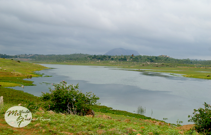 ನಟರಿಬ್ಬರ ಶೋಧಕಾರ್ಯ ವೀಕ್ಷಿಸಲು ಹೋದಾತ ನಾಪತ್ತೆ