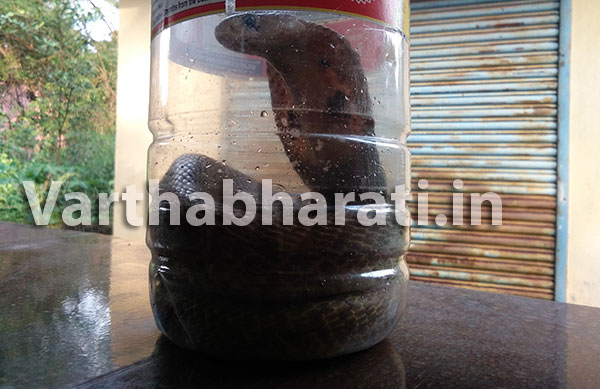 ತೋಟಗಾರಿಕಾ ಇಲಾಖೆ ಕಚೇರಿಗೆ ಬಂದ ನಾಗರಾಜ