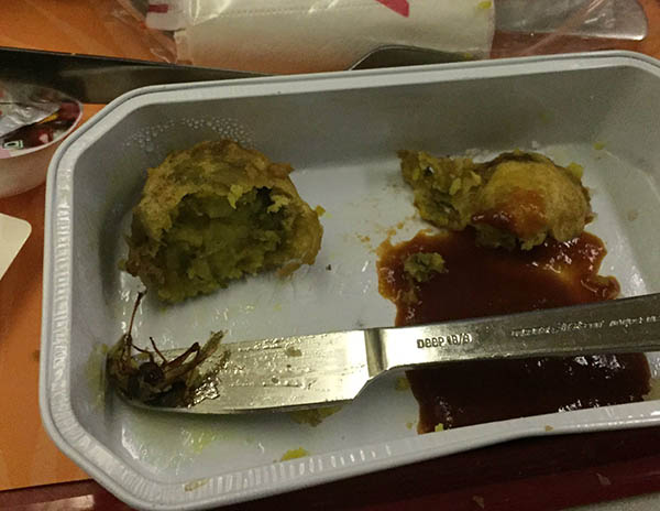 ಏರ್ ಇಂಡಿಯಾ ಆಹಾರದಲ್ಲಿ ಜಿರಳೆ