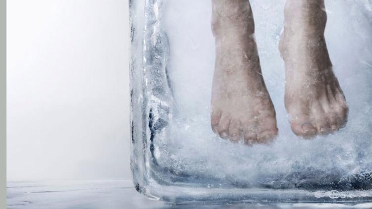 ಸತ್ತಮೇಲೆ ನನ್ನನ್ನು ಹೂಳಬೇಡಿ,ನನಗೆ ಪುನಃ ಬದುಕಬೇಕಿದೆ