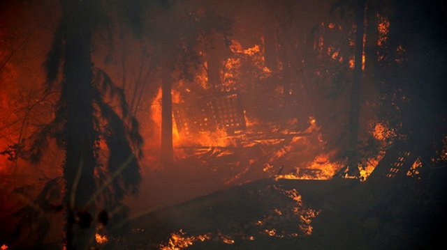 ಕಾಡ್ಗಿಚ್ಚು ನಂದಿಸಲು ಫೆಲೆಸ್ತೀನ್ ನೆರವು : ಕೃತಜ್ಞತೆ ಸಲ್ಲಿಸಿದ ಇಸ್ರೇಲ್ ಕಾಡ್ಗಿಚ್ಚು ನಂದಿಸಲು ಫೆಲೆಸ್ತೀನ್ ನೆರವು : ಕೃತಜ್ಞತೆ ಸಲ್ಲಿಸಿದ ಇಸ್ರೇಲ್