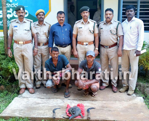 ಕಾಡುಪ್ರಾಣಿಯ ಬೇಟೆ: ಇಬ್ಬರ ಬಂಧನ