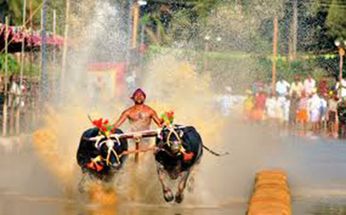 ಜಿಲ್ಲೆಯ ಕಂಬಳ ಪ್ರೇಮಿಗಳ ಆತಂಕ ನಿವಾರಣೆ