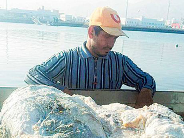 2.5 ಮಿ.ಡಾ.ಮೌಲ್ಯದ ತಿಮಿಂಗಿಲದ ‘ವಾಂತಿ’ ಪತ್ತೆ