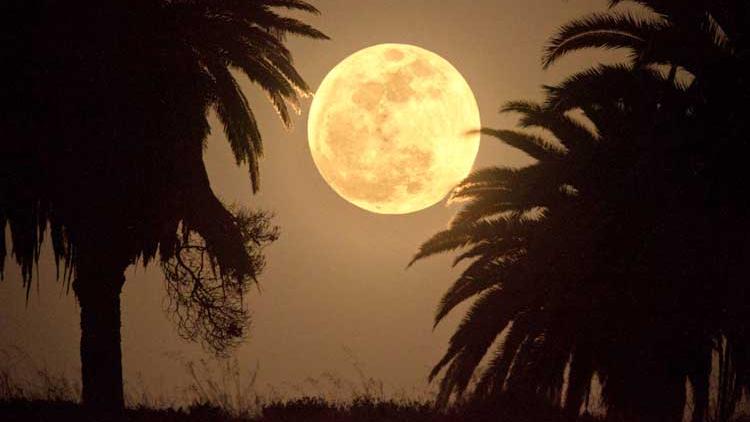 ಯುಎಇಯಲ್ಲಿ ನವೆಂಬರ್ 14ಕ್ಕೆ ಪೂರ್ಣ ಚಂದ್ರ!