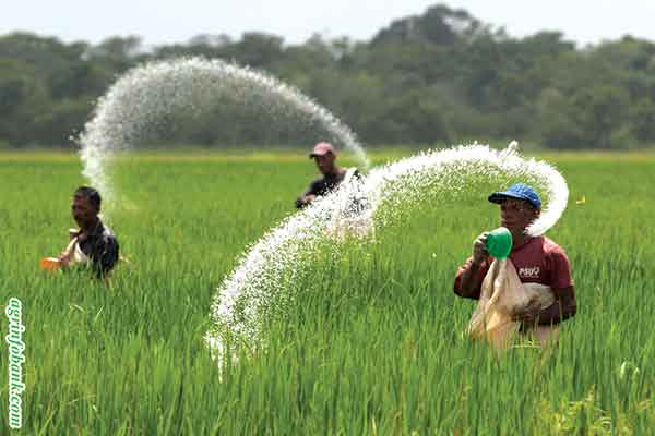 ದೇಶಕ್ಕೆ ಅನ್ನ, ಅಂತರ್ಜಲಕ್ಕೆ ಕನ್ನ