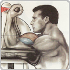 ಉಡುಪಿಯಲ್ಲಿ ರಾಷ್ಟ್ರಮಟ್ಟದ ದೇಹದಾರ್ಢ್ಯ ಸ್ಪರ್ಧೆ