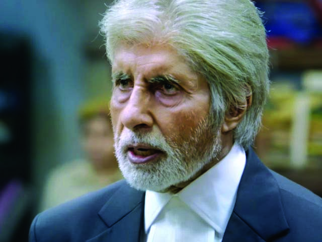 ಪಿಂಕ್ ಗೆ ವಿಶ್ವಸಂಸ್ಥೆ ಗೌರವ