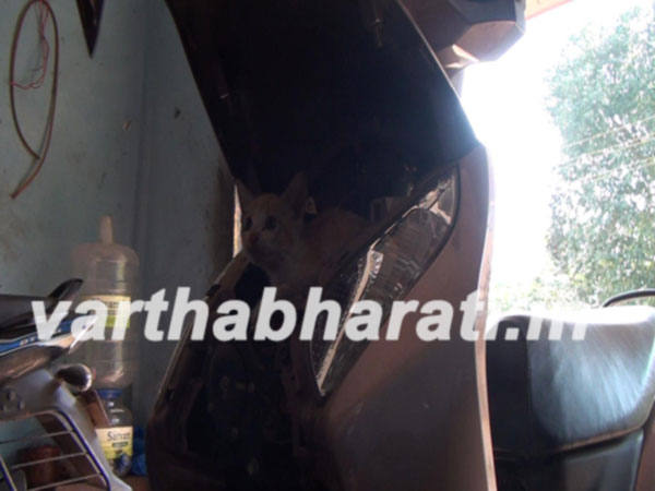 ಸ್ಕೂಟಿಯೊಳಗೆ ಸೇರಿ ಸಿಕ್ಕಿ ಹಾಕಿಕೊಂಡ ಬೆಕ್ಕು : ಬಂಪರ್ ಬಿಚ್ಚಿ ಹೊರ ತೆಗೆಸಿದ ಮಾಲಕ