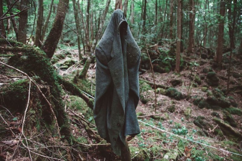 ಈ ಕಾಡಿಗೆ ಸಾಯಲೆಂದೇ ಬರುತ್ತಾರೆ ಜನರು !