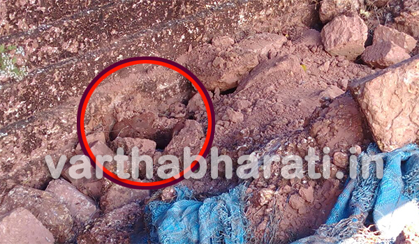 ಮಂಚಿ: ಹೂತ ಸ್ಥಿತಿಯಲ್ಲಿ ಅಪರಿಚಿತ ಮೃತದೇಹ ಪತ್ತೆ ಪ್ರಕರಣ, ಸ್ಥಳದಲ್ಲಿ  ಪೊಲೀಸರಿಂದ ಪರಿಶೀಲನೆ