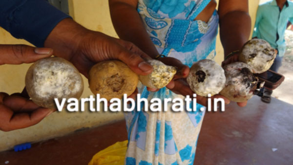 ದಿಡ್ಡಳ್ಳಿ ನಿರಾಶ್ರಿತ ಆದಿವಾಸಿಗಳಿಗೆ ಕೊಳೆತ ತರಕಾರಿ ವಿತರಣೆ : ಆರೋಗ್ಯದಲ್ಲಿ ಏರುಪೇರು