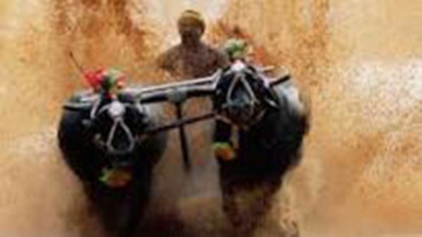 ಜ.28ರಂದು ಕೋಟಿ ಚನ್ನಯ ಜೋಡುಕರೆ ಕಂಬಳ ನಡೆಸಲು ಕಂಬಳ ಸಮಿತಿಯಿಂದ ತೀರ್ಮಾನ