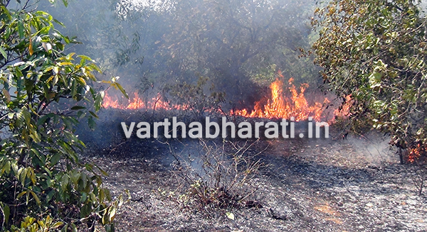 ಕಿನ್ನಿಗೋಳಿ : ಗುಡ್ಡಕ್ಕೆ  ಬೆಂಕಿ