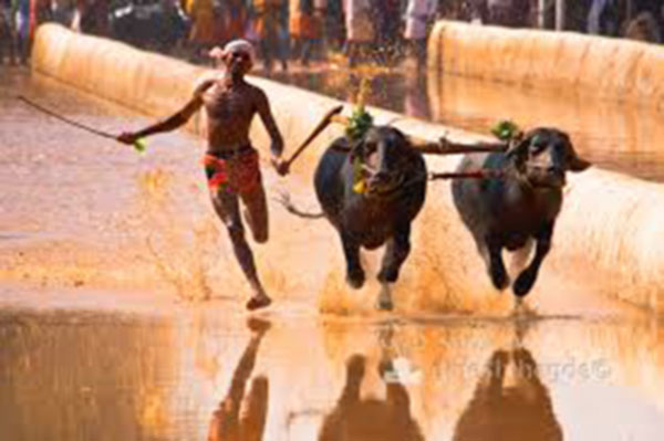 ಪ್ರಾಣಿ ದಯಾ ಸಂಘದ ಅಧ್ಯಕ್ಷ ರವಿ ಕ್ಷಮೆಯಾಚಿಸಲಿ : ಜನಾರ್ದನ ಬಂಗೇರ ಮುಡಾಯಿಗುತ್ತು