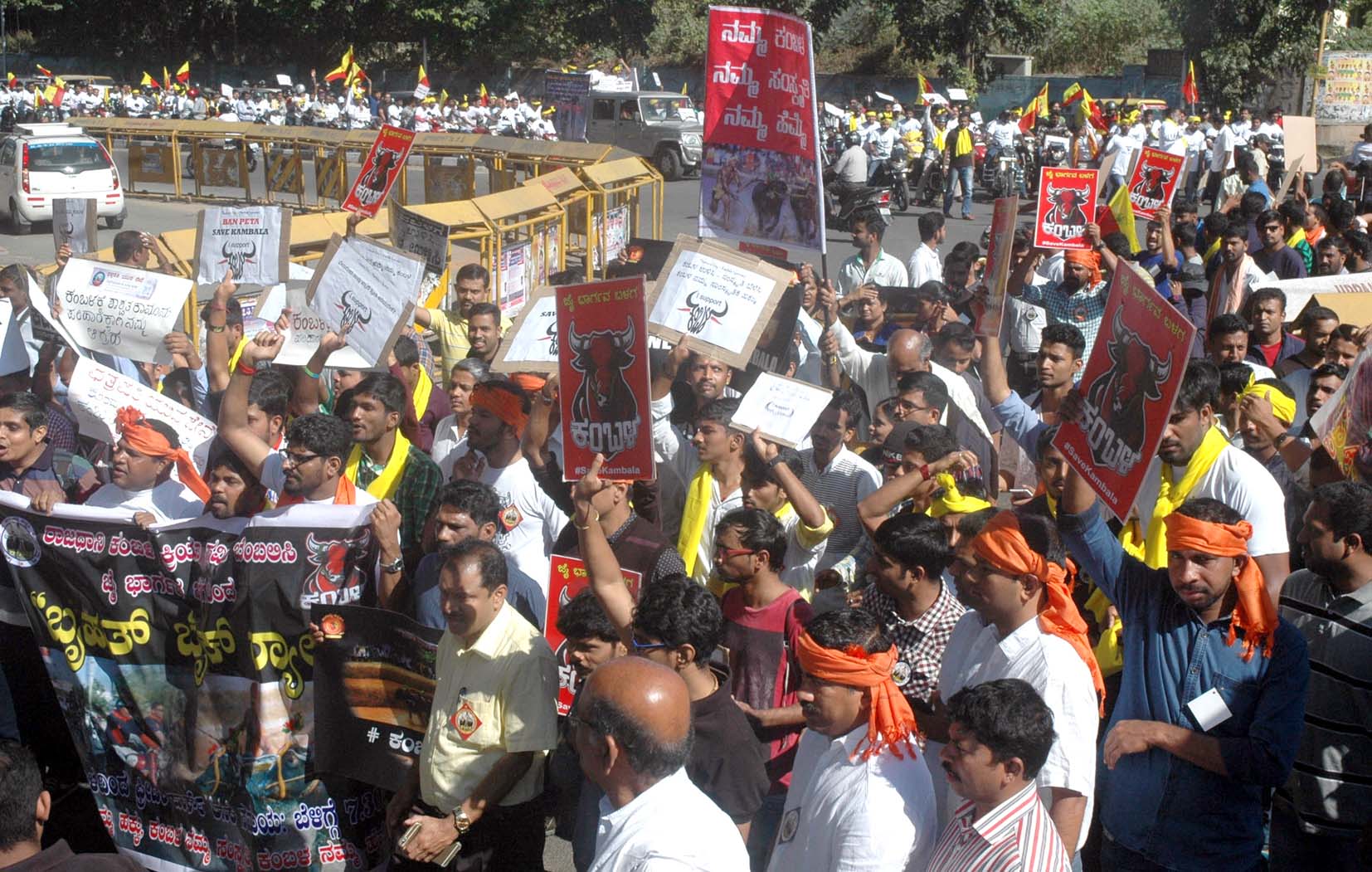 ಕಂಬಳ ಬೆಂಬಲಿಸಿ ಬೆಂಗಳೂರಿನಲ್ಲಿ ಬೃಹತ್ ರ‍್ಯಾಲಿ