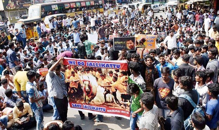 ಯುವಶಕ್ತಿ ಮತ್ತು ಜಲ್ಲಿಕಟ್ಟು