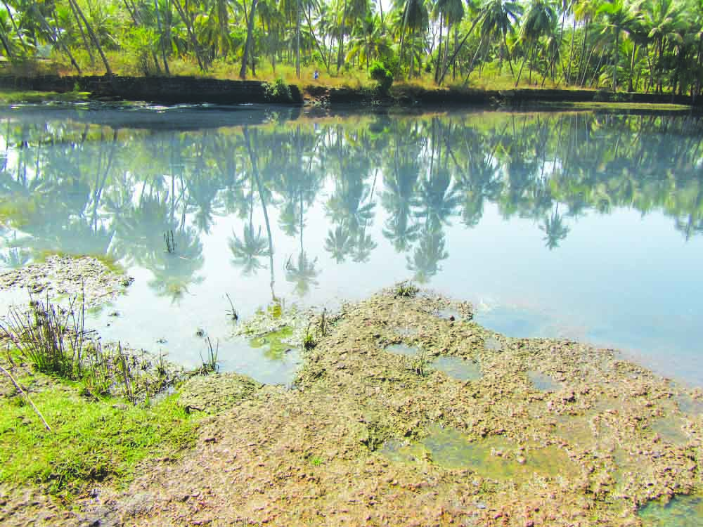 ಎಡಿಬಿಯ ಒಳಚರಂಡಿ ತ್ಯಾಜ್ಯ ವಿಲೇವಾರಿ ಘಟಕ ಸ್ಥಗಿತ ಶರಾಬಿ ನದಿಗೆ ಒಳಚರಂಡಿ ನೀರು