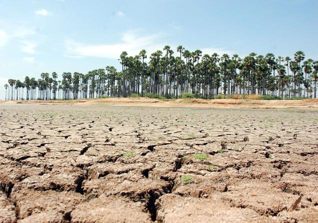 ಬರ ಪರಿಹಾರ : ರಾಜ್ಯ ಕೇಳಿದ್ದು ಎಷ್ಟು ?., ಕೇಂದ್ರ ಕೊಟ್ಟಿದ್ದು ಇಷ್ಟು !