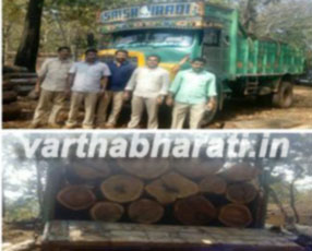 ಅಕ್ರಮ ಮರ ಸಾಗಾಟ ಪತ್ತೆ