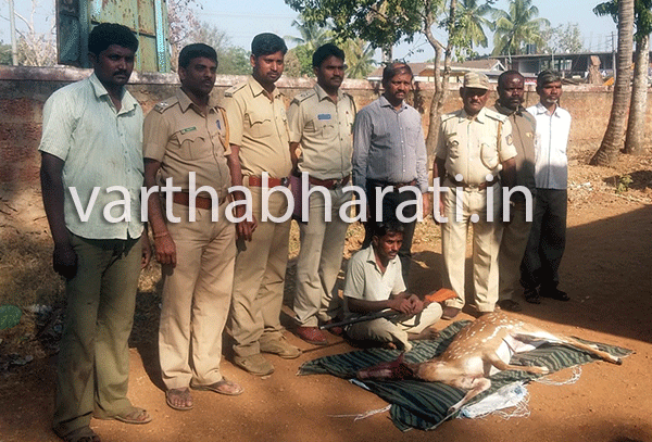 ಜಿಂಕೆಯನ್ನು ಕೊಂದ ಆರೋಪಿ ಅರಣ್ಯ ಇಲಾಖೆ ಬಲೆಗೆ