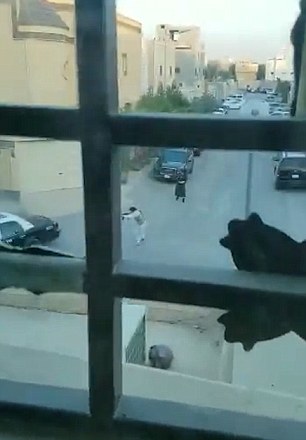 ಸೌದಿ ರಾಜಧಾನಿಯಲ್ಲಿ ಇಬ್ಬರು ಐಸಿಸ್ ಉಗ್ರರ ಹತ್ಯೆ