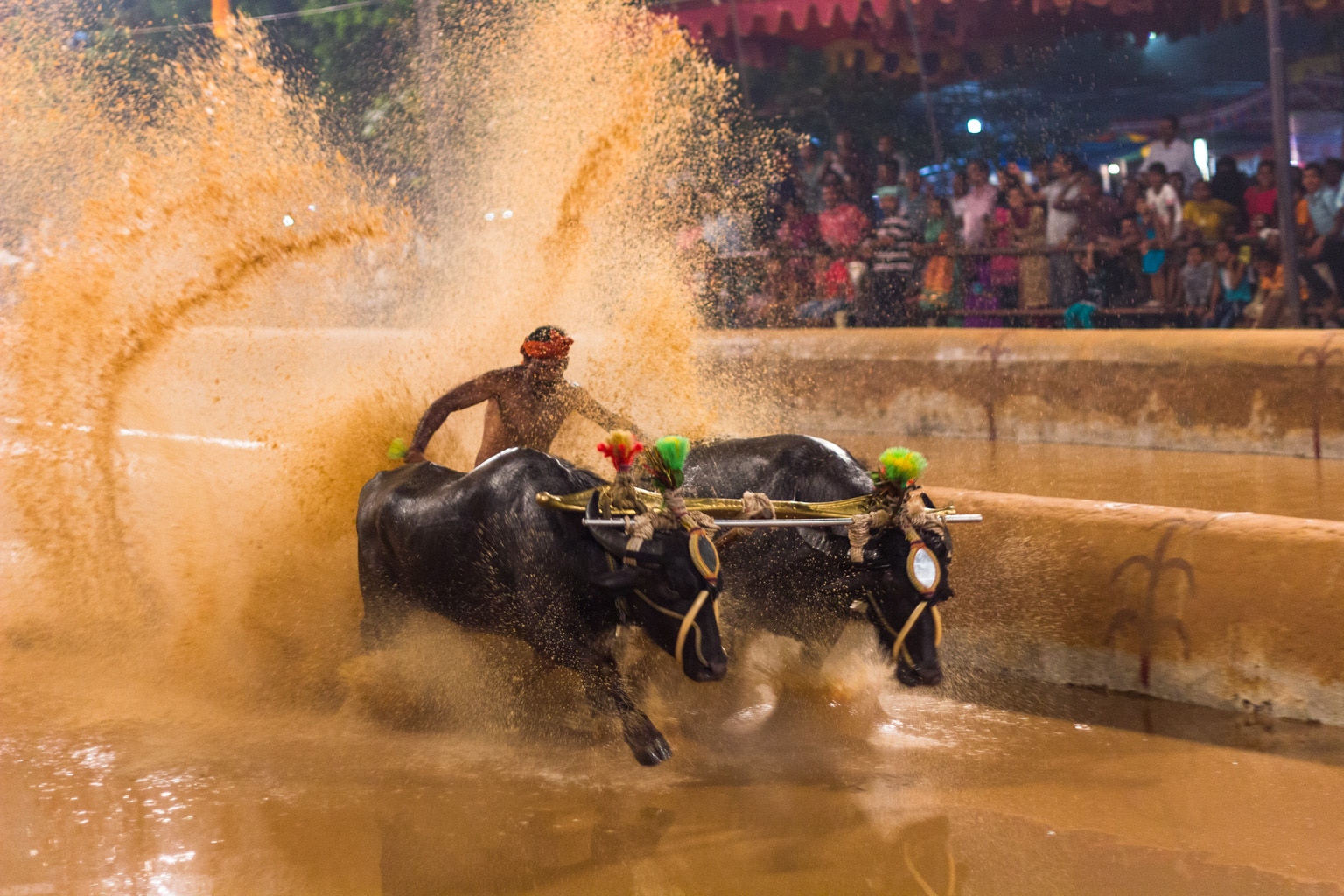 ಕಂಬಳ, ಹೋರಿ ಓಟ ಸ್ಪರ್ಧೆಗೆ ಇನ್ನು ಕಾನೂನಿನ ಅಭಯ