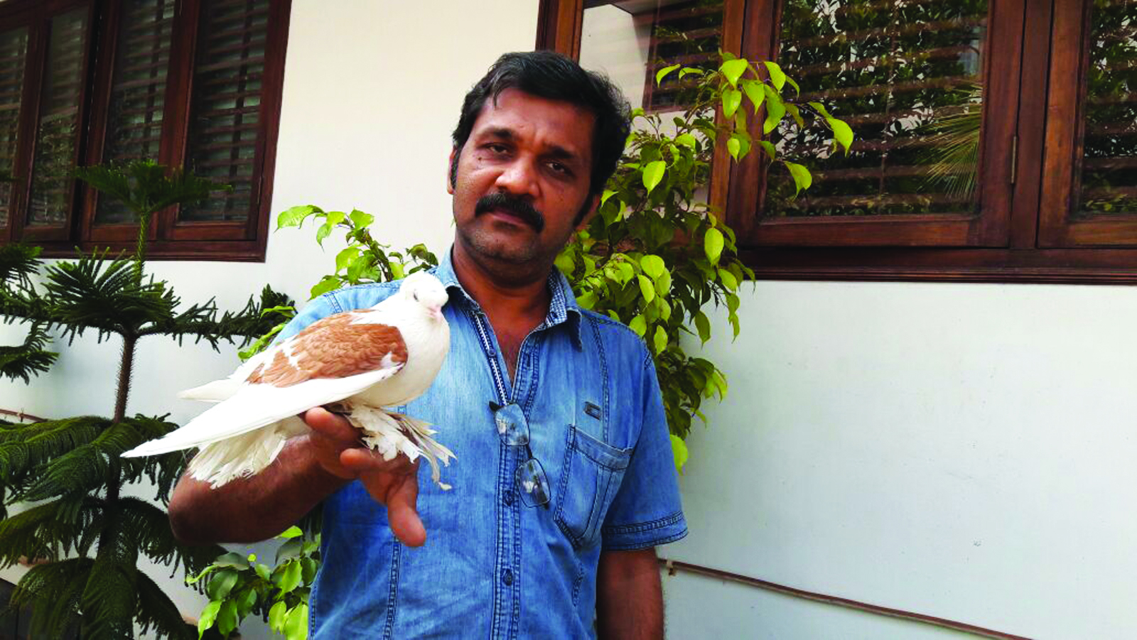 ಹೀಗೊಬ್ಬ ಪಾರಿವಾಳ ಪ್ರೇಮಿ!